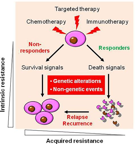 Frontiers Dual Targeted Therapy Circumvents Non Genetic Drug
