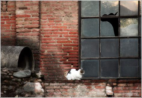 Para escuchar la pronunciación de las palabras haz 'click' sobre el icono del altavoz (speaker). follando viejas rusas en la cocina gratis