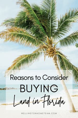 Buying Land In Florida Important Things You Need To Know