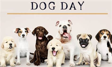 National Dog Day 2024 UK, USA: Best Wishes, Messages, Greetings