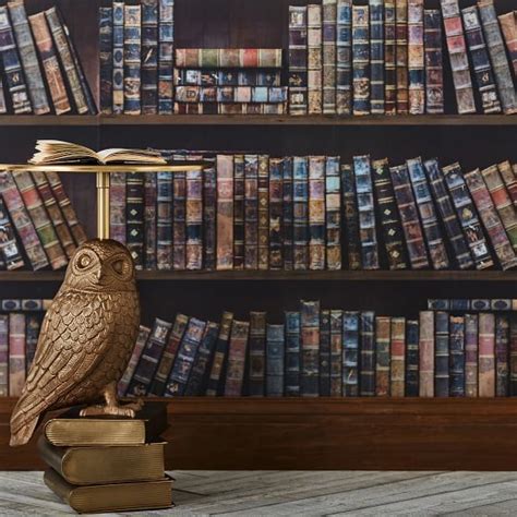Download and view harry potter wallpapers for your desktop or mobile background in hd resolution. HARRY POTTER™ Bookshelf Wallpaper, 3'x9' in 2020 | Harry potter bedroom, Harry potter library ...