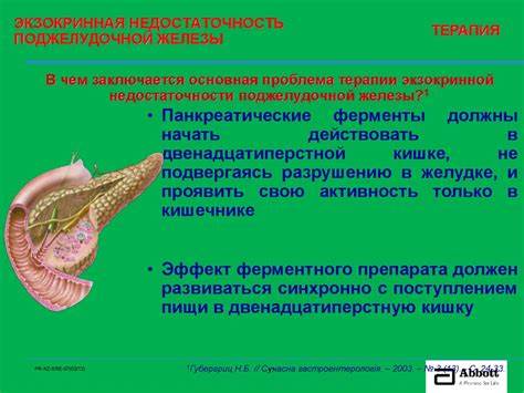 Экзокринная недостаточность диета Креон. Минимикросферы - презентация онлайн Креон. Минимикросферы - презентация онлайн Экзокринная недостаточность диета