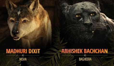 Netflix Announces All Star Cast For The Hindi Version Of Mowgli Anil