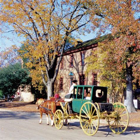 The flower cupboard is not your every day wedding florist. Restaurants Around Colonial Williamsburg, Virginia in 2020 ...