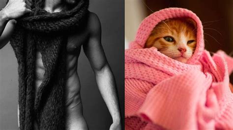 15 Gatti Che Assomigliano A Sex Symbol Dolci Carini E Incredibilmente Sexy Fem