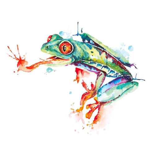 Green Frog Watercolor Design 1186647 Vector Art At Vecteezy