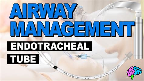 Anatomy Of The Endotracheal Tube Et Tube Airway Management Youtube