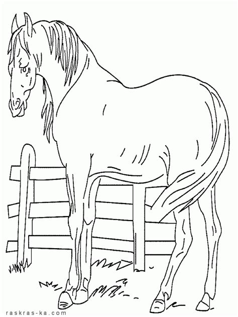 Colorear e imprimir dibujos de caballos