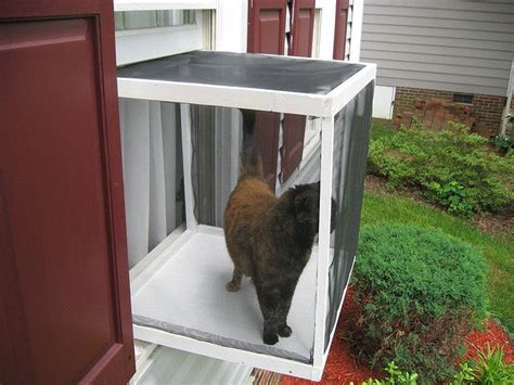 A wide variety of cat perch window options are available to you, such as feature. Cat+Window+Box - great idea for keeping your kitty safe ...