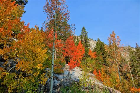 Beautiful Autumn Colors At Bishop Creek Gary Skipper Flickr