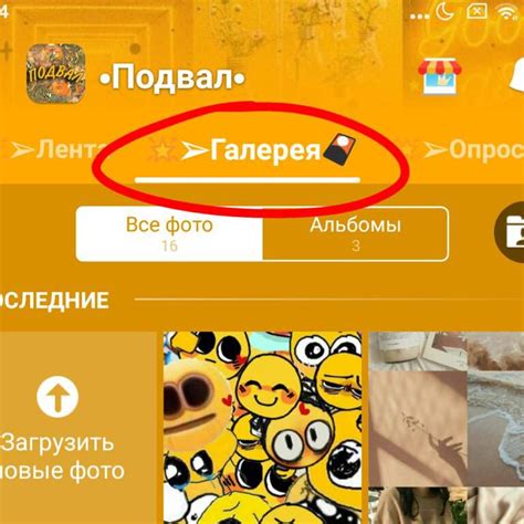 общая папка что это wiki Подвал amino