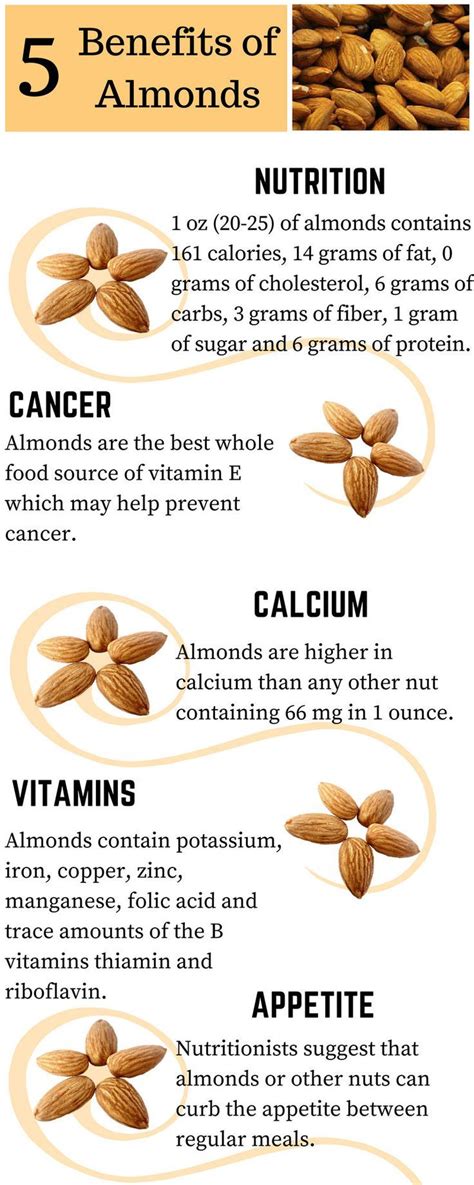 Almonds Almonds Nutrition Almond Benefits Nutrition Tips