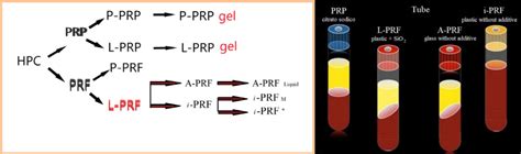 Pulse repetition frequency (prf) of the radar system is the number of pulses that are transmitted per second. The L-PRF Membrane (Fibrin Rich in Platelets and ...