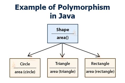 How To Learn Polymorphism In Java Futurefundamentals