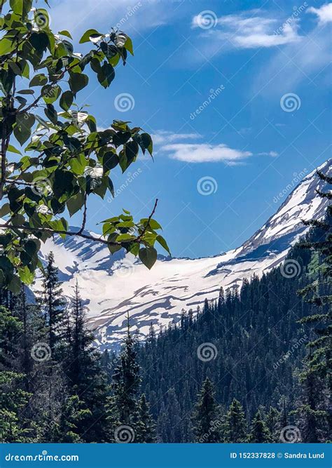 Snowy Mountains At Glacier National Park In Montana Stock Photo Image