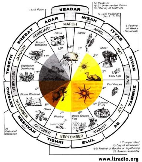 Maybe you would like to learn more about one of these? Longtom Radio Player | Learn hebrew, Bible facts, Hebrew ...