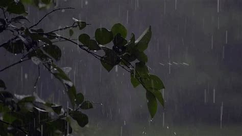 تصاویر باران انیمیشن با باران باران پاییز در خارج از پنجره 23