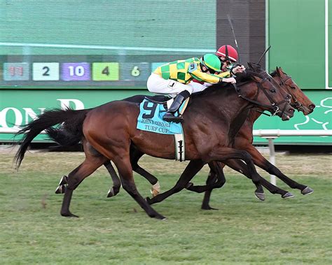Another Mystery Gets His Distance In Rescheduled Colonial Turf Cup