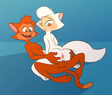 Rule 34 Anthro Anus Blue Background Brown Eyes Canon Couple Cats Don