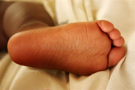 Baby Foot Stock Photo Image Of Nature Foot Newborn 78736710