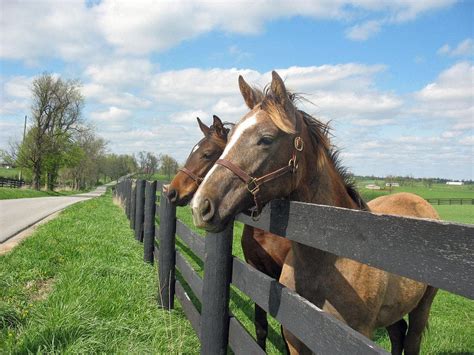 Japan Consumer Confidence - Business Insider