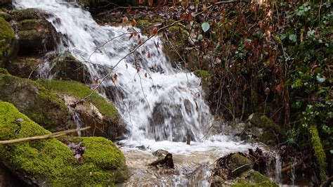 Waterfall On Green Algae Covered Rocks Hd Nature Wallpapers Hd