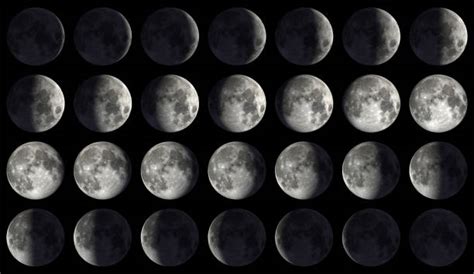 Calendario calendario lunar 2021 febrero. Calendario Lunar Cannábico 2021 | Blog de Marihuana El Cogollo