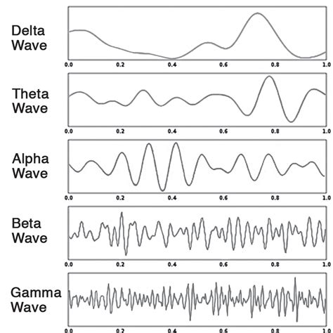 The 5 Types Of Brain Waves The Keys To Higher States Of Consciousness