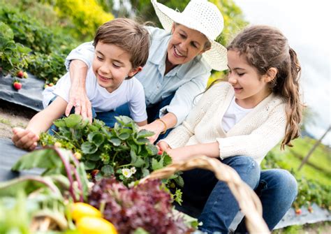 Creating A Sensory Garden Fun Gardening For Kids