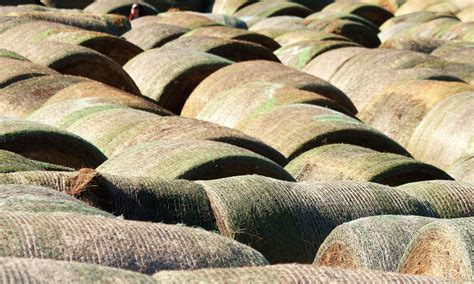 Round Hay Bales Close Up Free Stock Photo Public Domain Pictures