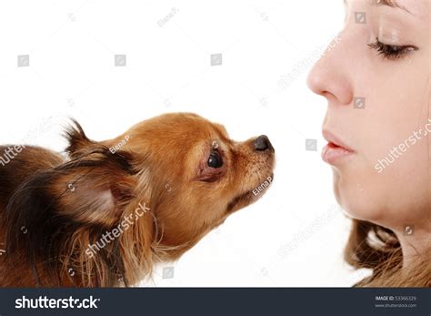 Girl Blows On Dog Side View Stock Photo 53366329 Shutterstock