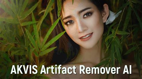 Akvis Artifact Remover Ai Removal Of Jpeg Artifacts And Pixelization