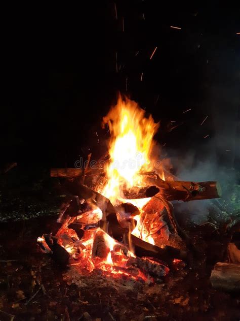 Bonfire In Forest In Autumn Night Stock Photo Image Of Dark Fresh