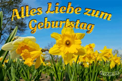 Zum herunterladen der kostenlosen lustigen. Angelika (kastela) hat Geburtstag