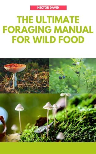The Ultimate Foraging Manual For Wild Food Discover How To Identify