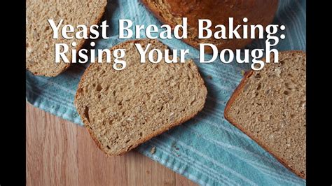 Using fresh yeast up within a week will. Yeast Bread Baking: How to Rise Your Dough - YouTube