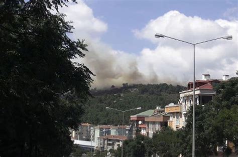 SON DAKİKA İstanbul Pendik te orman yangını