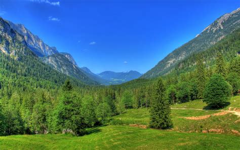Wallpaper Germany Bavaria Nature Landscape Mountains Forest Trees