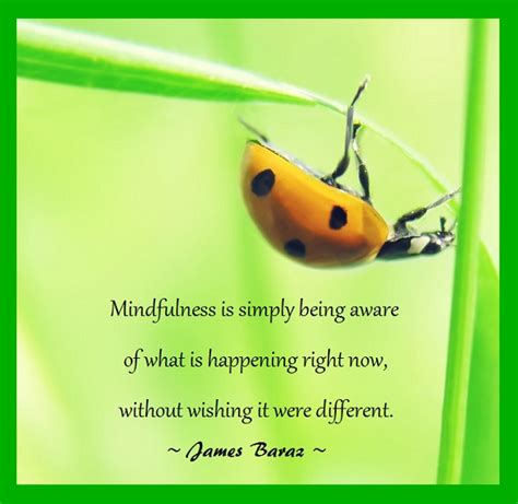 Mindfulness Mindfulness Mindfulness Quotes Education Quotes For