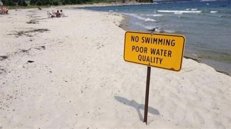 shubie beach closed due to high bacteria levels cbc news