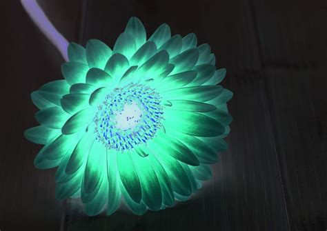 How To Make A Glowing Flower