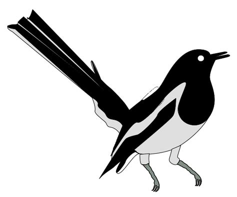 Oriental Magpie Robin Clip Art At Vector Clip Art Online