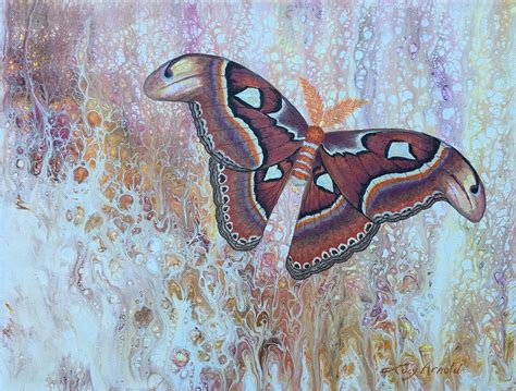 Bugs And Butterflies Fine Art Of Lucy Arnold