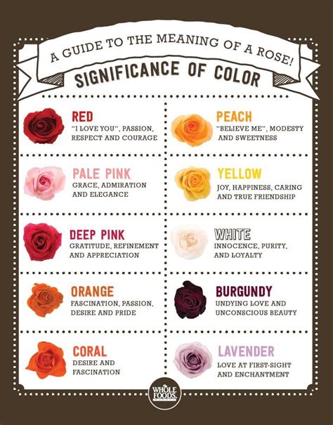 In the christian tradition, the white rose is associated with the virgin mary. Color meanings of roses | Things I like | Pinterest ...