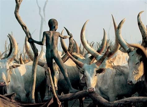 Powerful Photographs Show The Daily Life Of The Dinka People Of