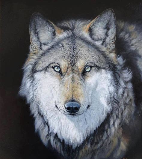 Wolf Art Native Animals Pinterest