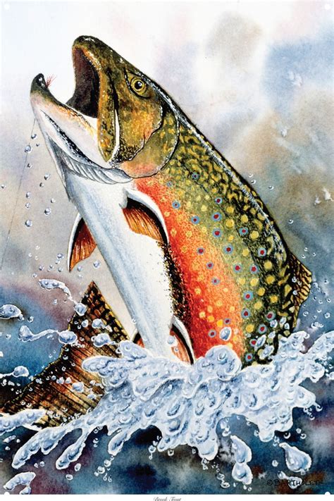 Brook Trout Metal Art Print By Dave Bartholet 12 X 18
