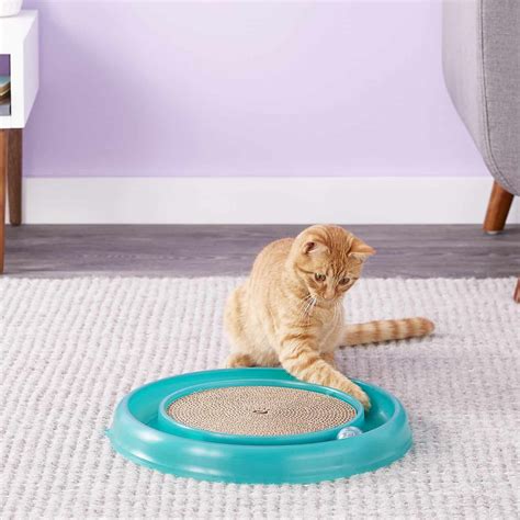 October 2023s Best Interactive Cat Toys For Your Smart Kitty