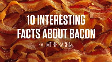 10 Interesting Facts About The Delicious Food Known As Bacon 11 Pics