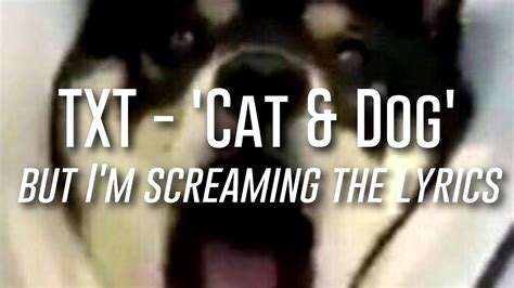 Txt Cat And Dog But Im Screaming The Lyrics Youtube